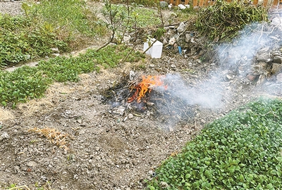 如何遏制秸秆焚烧？宁波江北经验被点赞