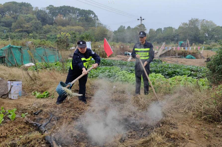 秸秆焚烧别再干了！绍兴已有多人被罚款 