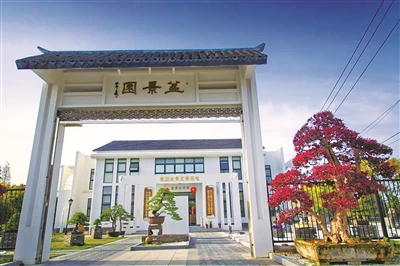 直播卖盆景 两年卖出3000多万元