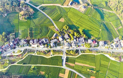 建成市级数字乡村样板村2个、省级未来乡村试点村4个 西湖区村民乐享“数字化”生活