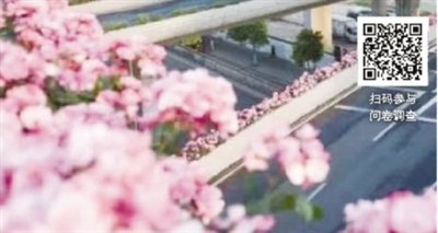 花香满城迎亚运，杭州如何更美丽？ 园文部门邀请市民奉献“金点子”
