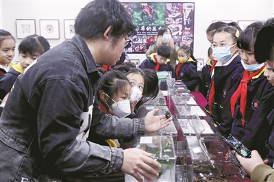 学校办节日“请”来1300多只昆虫