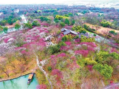 培育“八个十” 繁荣“文化+” 西湖区打造文旅消费新品牌