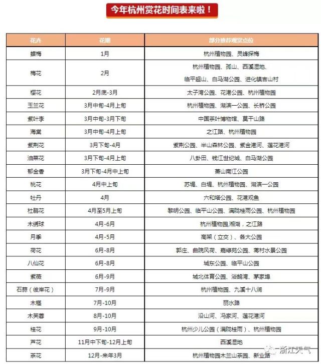 阳光回归 气温飞升！杭州赏花时间表来啦