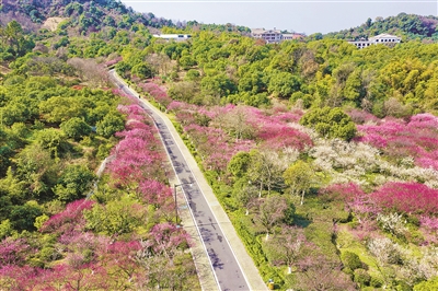 打造山湖合璧新典范 临平启动“超山－丁山湖”综合保护工程