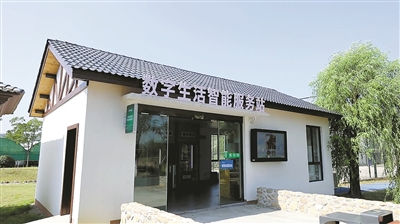 3月29日起实施 《数字乡村建设规范》省级地方标准正式发布