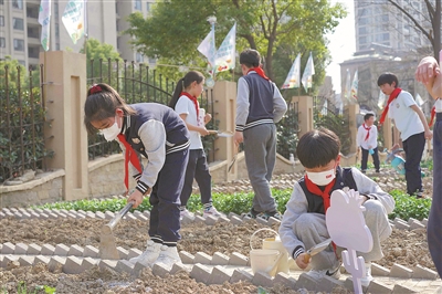 杭城一小学农学院开犁了