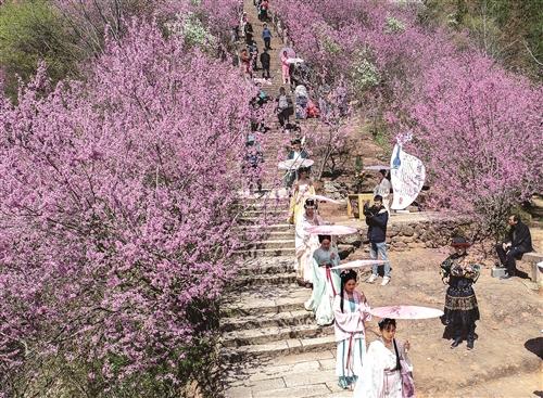 天台山和合花朝节开幕