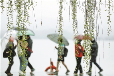 春雨贵如油