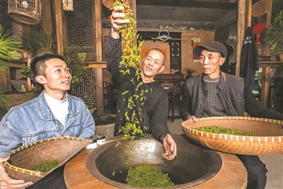 中泰给未来茶乡“加邮” “黄金叶”藏着乡村“致富经”