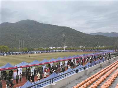355家用人单位绕田径场一圈，提供岗位超8000个  细雨中，这场招聘会热火朝天