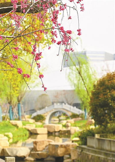 绣好“花满杭城”风景线—— “园林式场馆” 添彩杭州“公园之城”