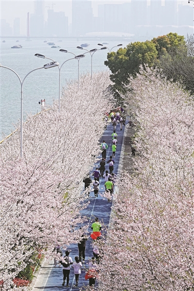 樱花相伴 奔竞亚运