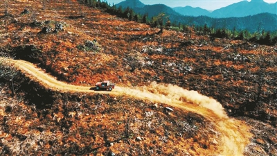大山深处，百余辆越野车竟穿村而过 建德走出农文旅融合共富之路