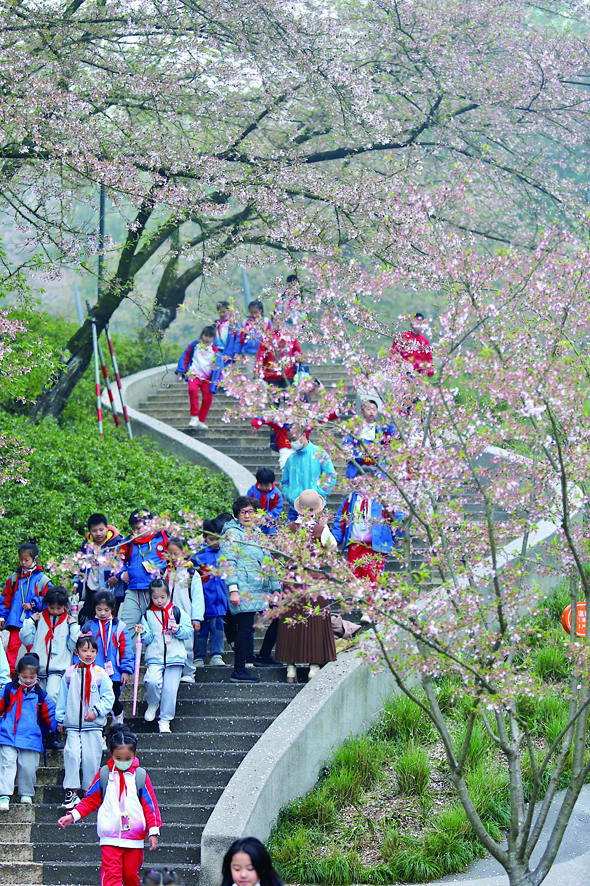 杭州周末太阳出来 下周天气大变