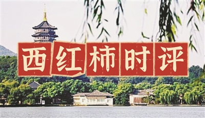 学采龙井春茶，泡得人生茶香