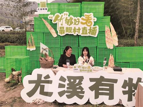 尤溪——  以笋为媒 共富乡村