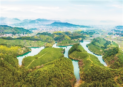 建德万亩茶产业共富标准地成形 三年后茶叶总产值有望突破7500万元