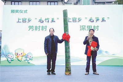 竹界“双王”吸睛 食界“全笋宴”诱人 富阳上官竹文化节“竹”够精彩