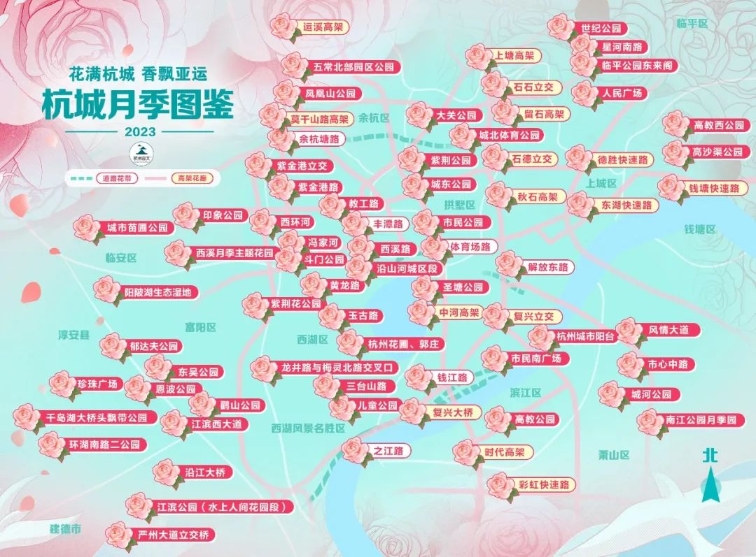 杭州沿途皆风景 走花路上班的日子来了
