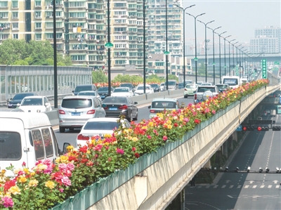 冷空气来了!杭州周末气温"拦腰斩"