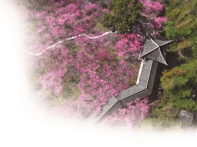 春已暮 梅园诗画还如故  ——首届永嘉梅花文化旅游节有奖征集结果出炉