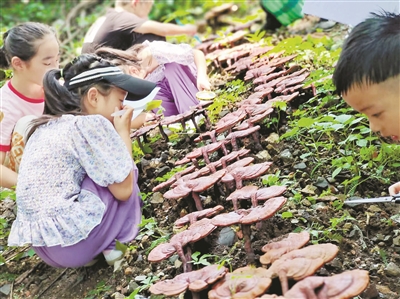 余杭长乐林场入选首批国家林草科普基地