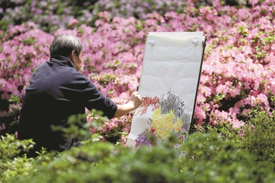 松涛流绡临平山 杜鹃花开满目春