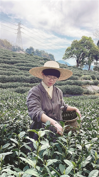 40岁回乡创业 她让好茶走出“深闺”—— “大厂女强人”回乡记