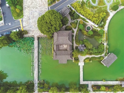 一村一风景 萧山小微水体治出大成效