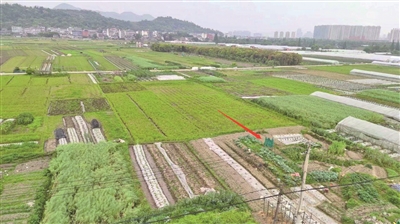 这见不得光的是什么“菜”？  无人机爱好者随手一拍，惊动了警方