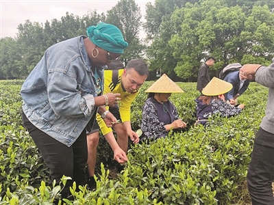 西湖茶村迎来多国宾客 频频点赞共富乡村