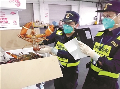 7×24小时全天候通关 从落地到提货全程只需要3小时 一季度1685吨空运进口水产“生猛”抵杭