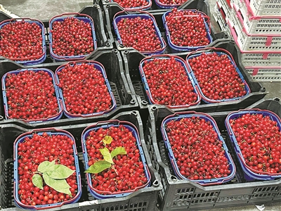 樱桃和杨梅价格大幅下跌