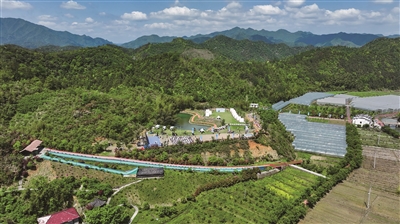 “之江同心·百贤通达”品牌发布 桐庐着力让乡村共富路上“归雁成行”