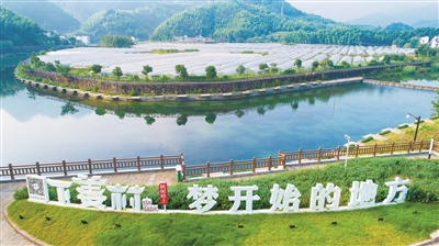 下姜·梦想花开二十年