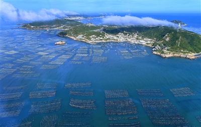 枸杞：“黑珍珠”撬动共富新支点