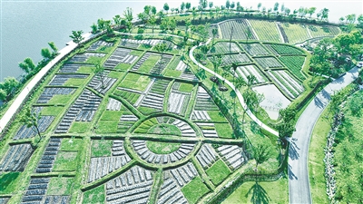 20平方米的土地，年租金3000元左右—— 杭州城郊再兴“种地热”