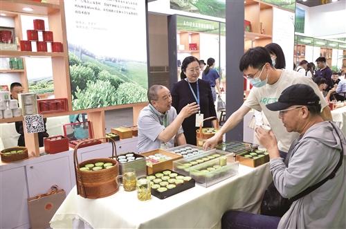 台州的“茶路”为何越走越宽？