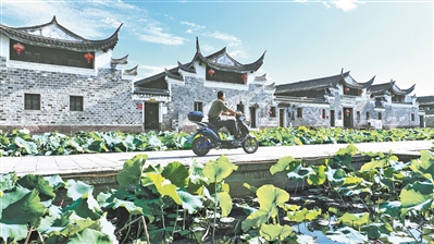 初夏又见走马塘