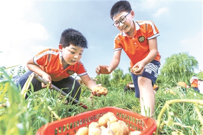 让“儿童友好”惠及每一个孩子  一米视角听“童声”，我在宁波拥抱你