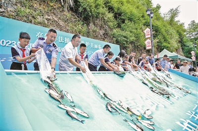 rB4AiWR_YK2ALa6kAAIC-uDjSY0475.jpg