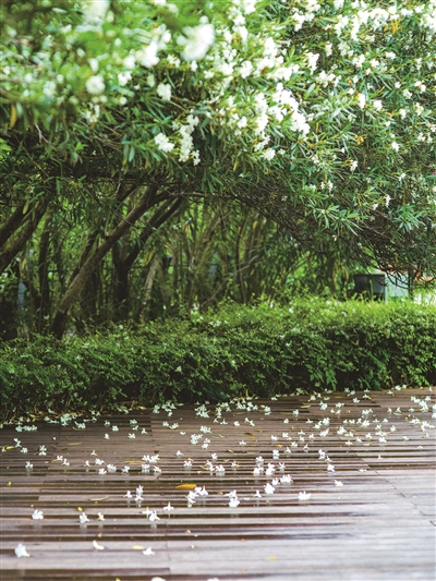 杭州傍晚有中到大雨！周五开始明显升温