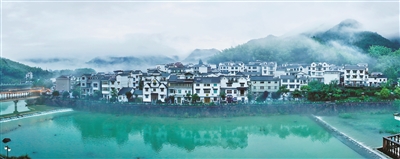 “一滴水”探寻大海的方向 ——“八八战略”指引下的“下姜共富路径”
