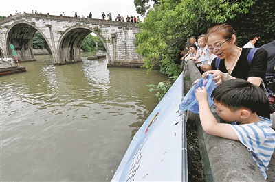 修复生态损害 20万尾鱼苗游进大运河