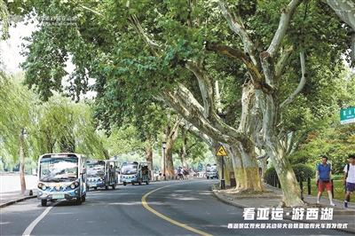 西湖亚运观光车车票免费送 邀你体验这条特别的亚运风景线