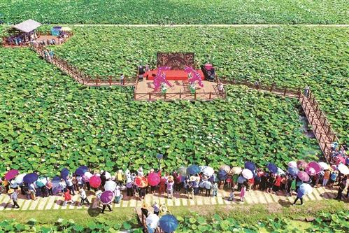 温岭市首届荷花 文化艺术节开幕