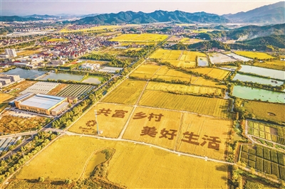 杭州“扩中提低”让百姓“钱袋子”更鼓了