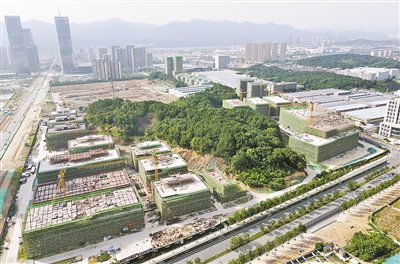 抓好项目招引建设 推动优势产业建圈强链 桐庐“强产兴县”驶入快车道