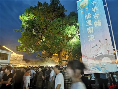 《一场为了九百岁古树的听证会》后续报道>>>  古树搭“鹊桥” 乡村聚人气